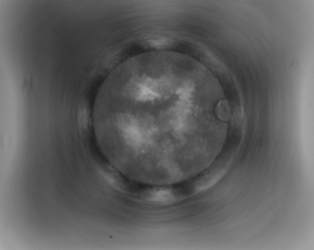 X0000114090651200910051426