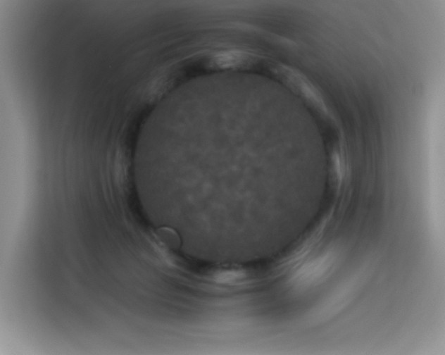 X0000114090653200910051426