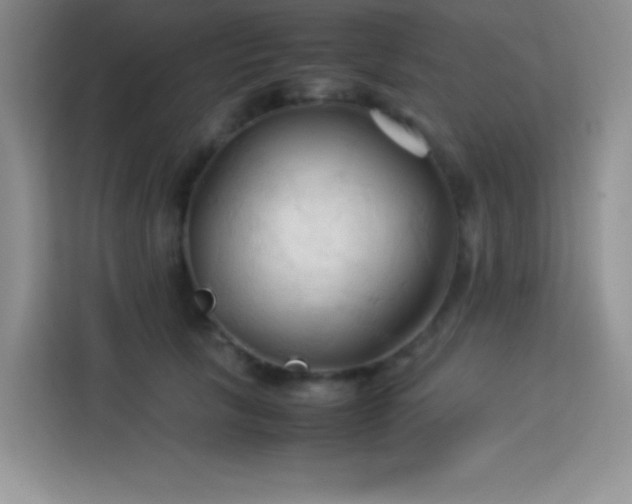 X0000114090657200910051426