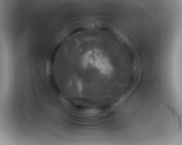 X0000114090659200910051426