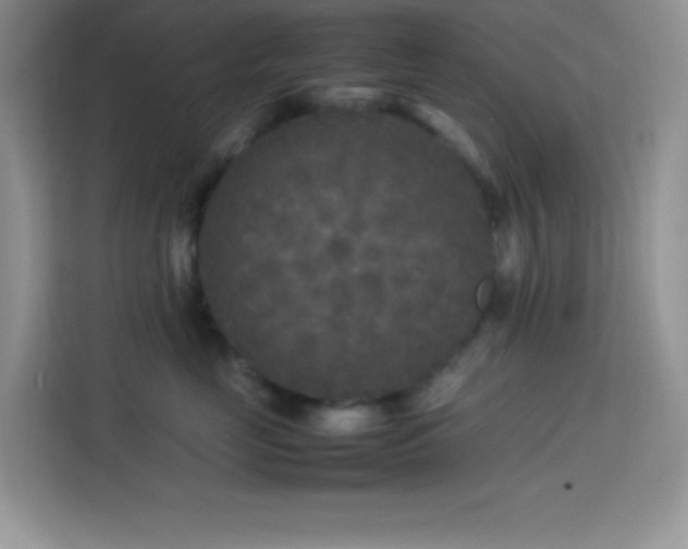 X0000114090669200910051426