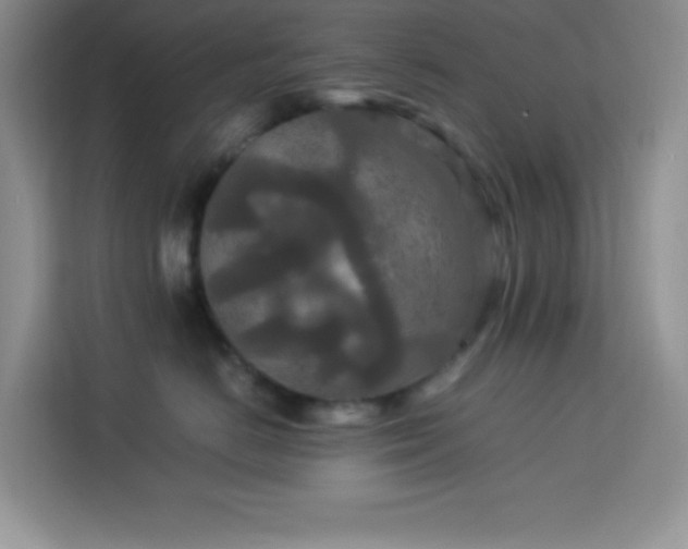 X0000114090670200910051426