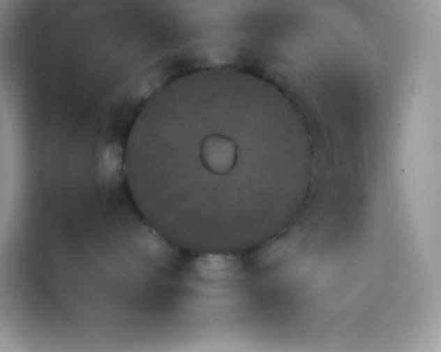 X0000114090672200910051426