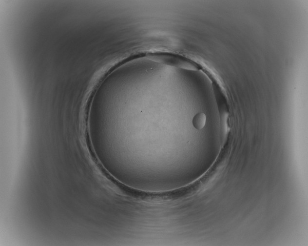 X0000114090673200910051426