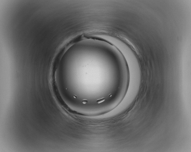 X0000114090677200910051425
