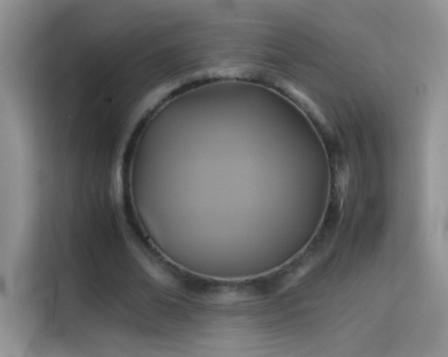 X0000114090678200910051425
