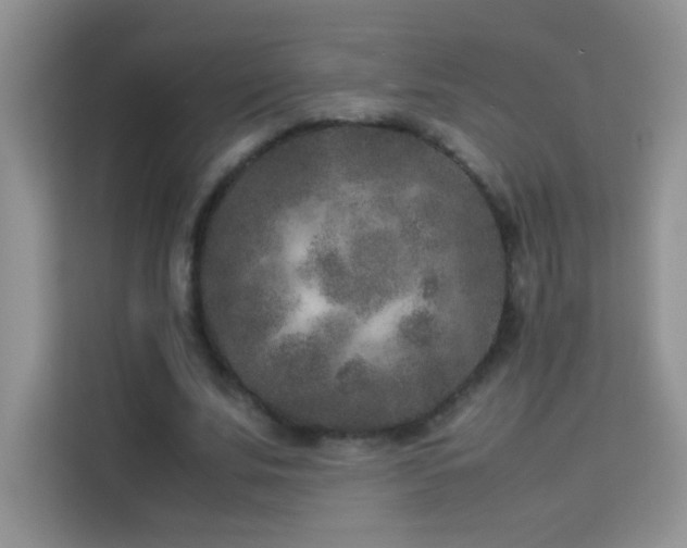 X0000114090679200910051425