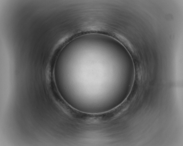 X0000114090680200910051425