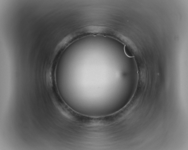 X0000114090682200910051425