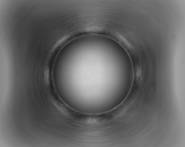 X0000114090684200910051425