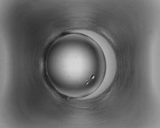 X0000114090685200910051425