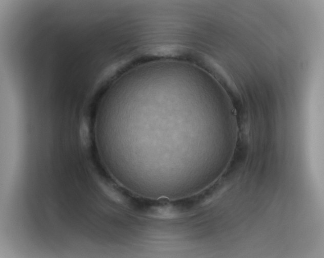 X0000114090688200910051425