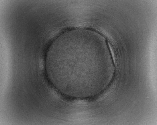 X0000114090689200910051425