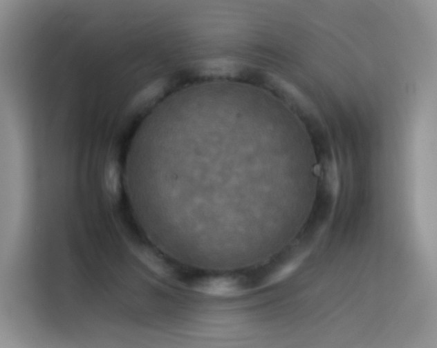 X0000114090692200910051425