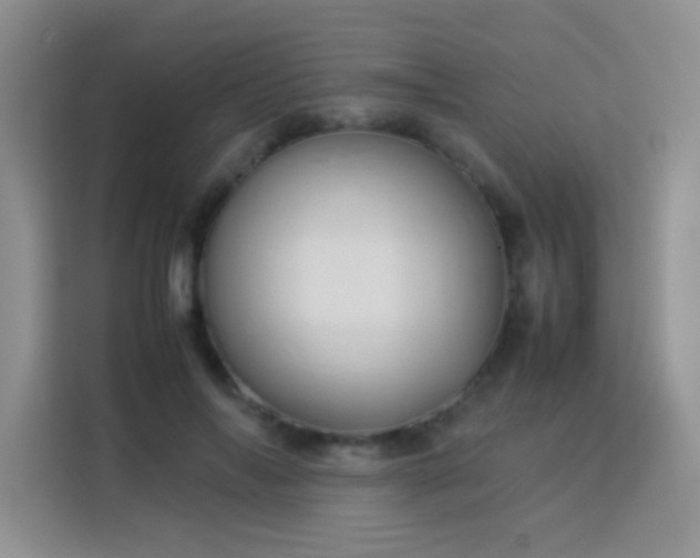 X0000114090694200910051425