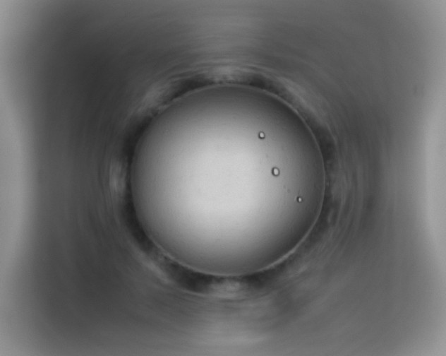 X0000114090695200910051425