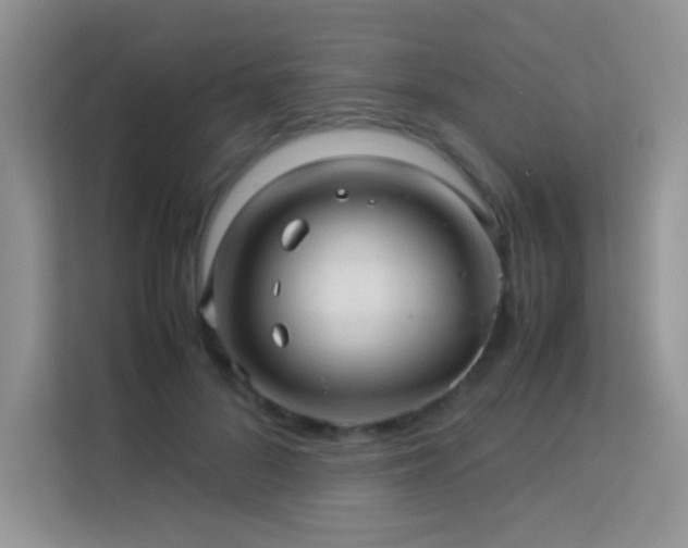 X0000114090696200910051425