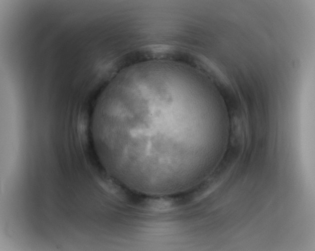 X0000114090698200910051425