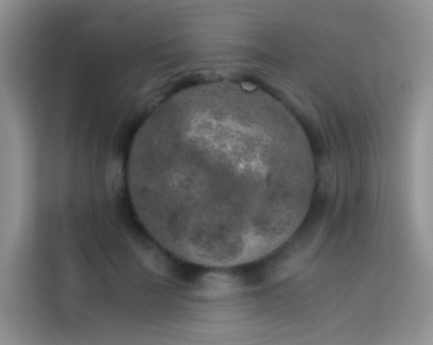 X0000114090699200910051425