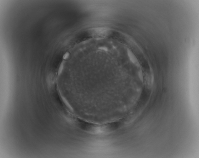 X0000114090701200910051425