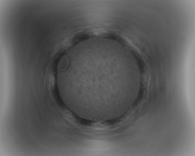 X0000114090703200910051425