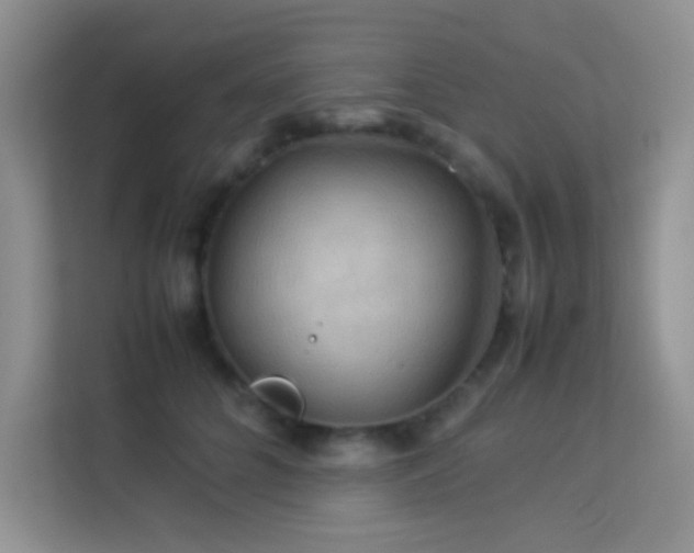 X0000114090704200910051425