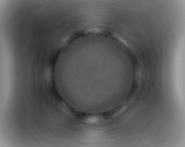 X0000114090708200910051425