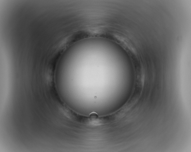 X0000114090710200910051425