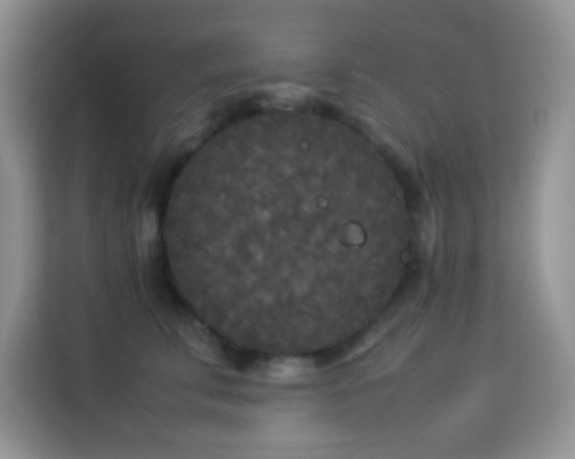X0000114090711200910051425