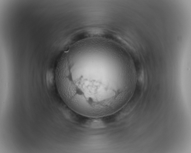 X0000114090715200910051425