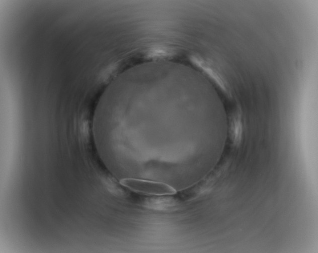 X0000114090716200910051425