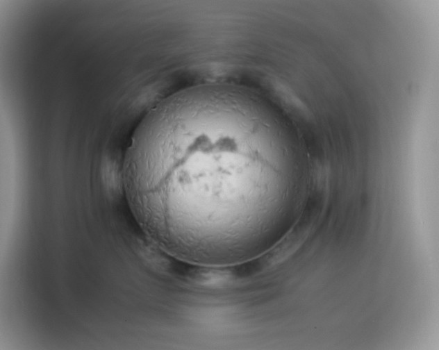 X0000114090719200910051425