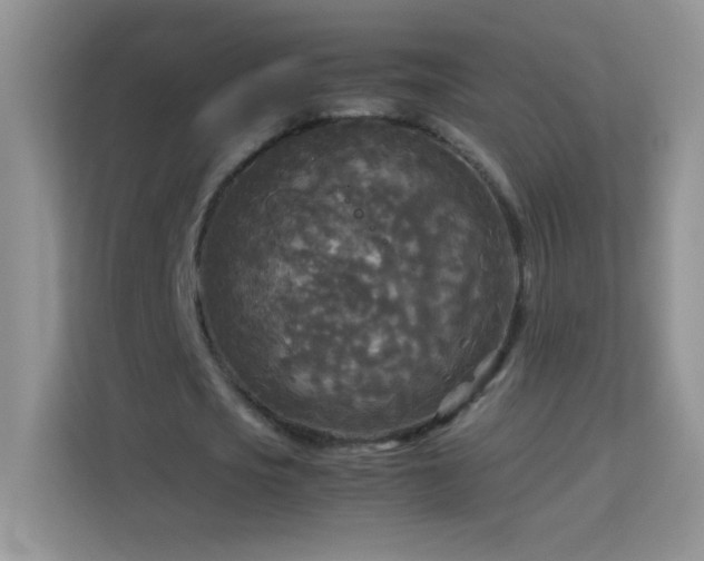 X0000114090721200910051424