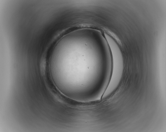 X0000114090722200910051424