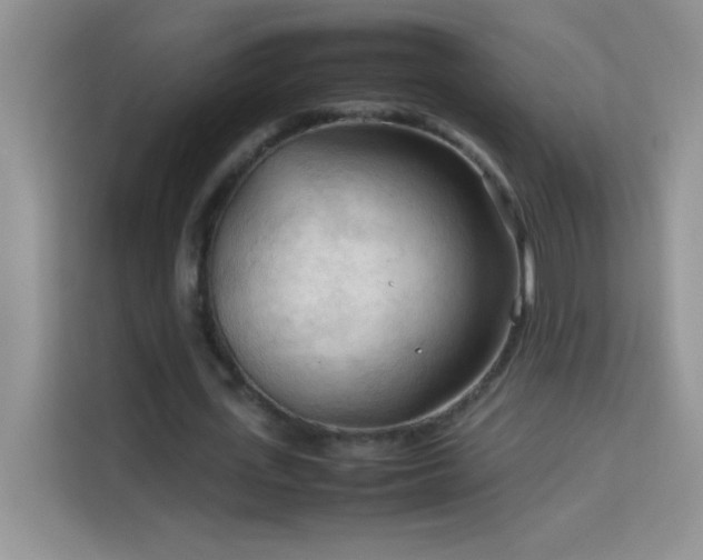 X0000114090723200910051424