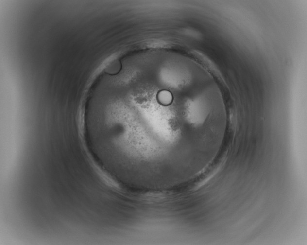 X0000114090725200910051424