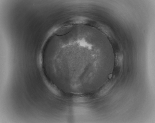 X0000114090726200910051424