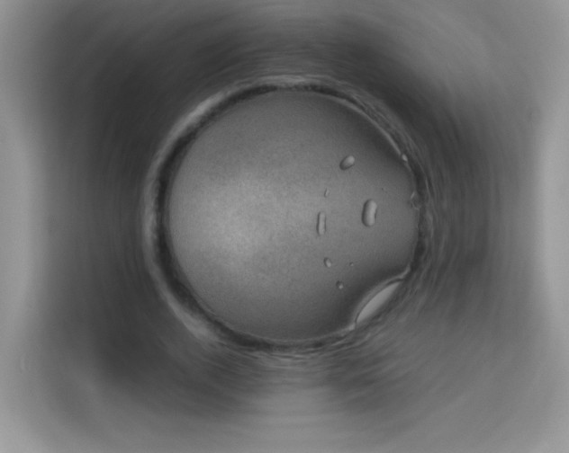 X0000114090728200910051424