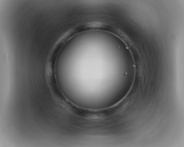 X0000114090731200910051424