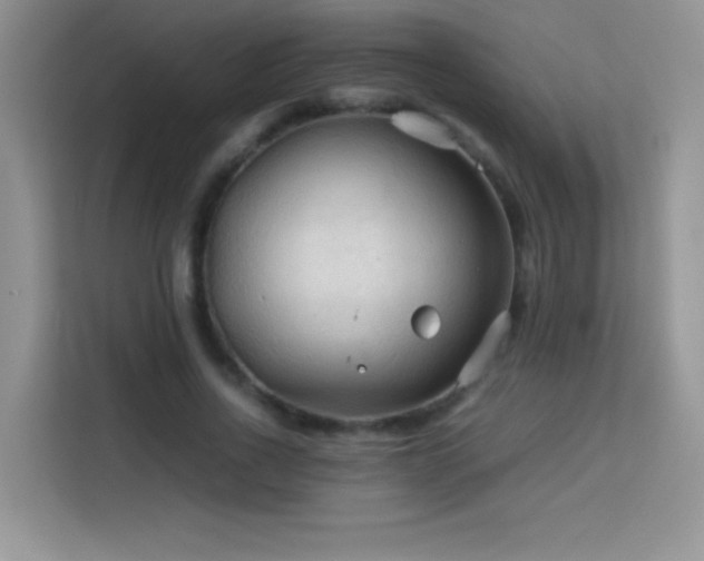 X0000114090734200910051424