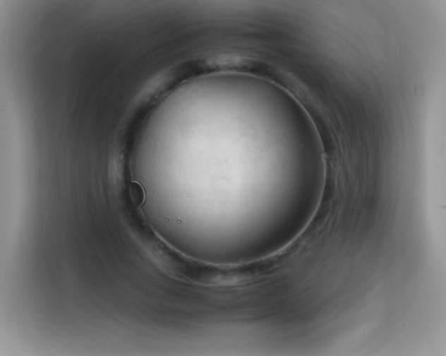 X0000114090735200910051424