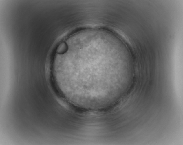 X0000114090736200910051425