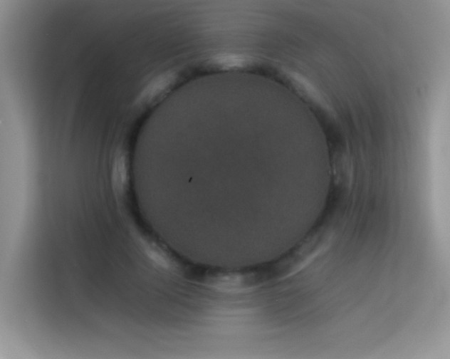 X0000114090740200910051425