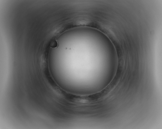 X0000114090743200910051425