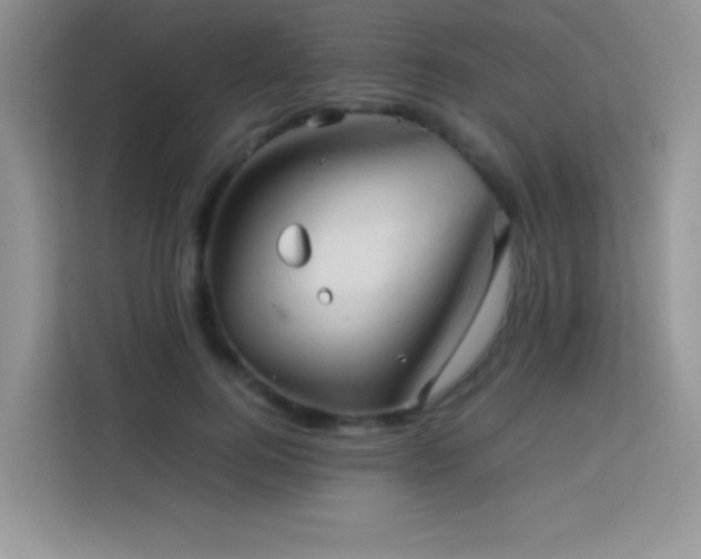 X0000114090744200910051425