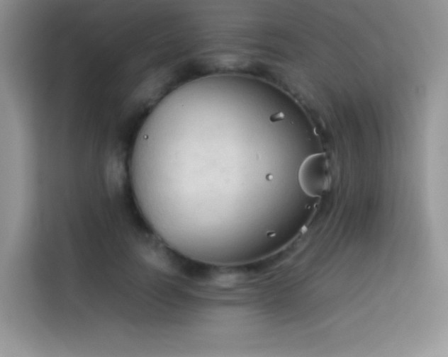 X0000114090746200910051425