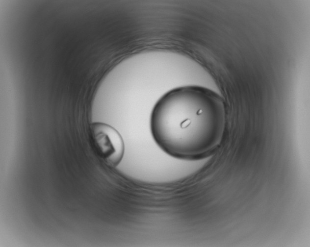 X0000114090748200910051425