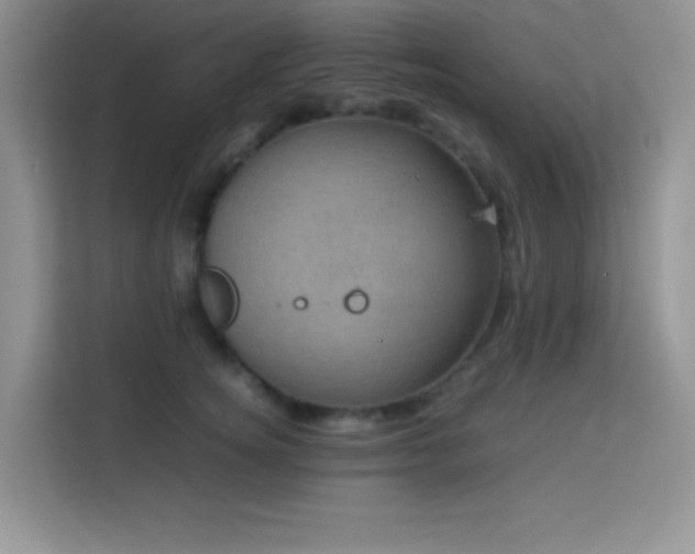 X0000114090756200910051425