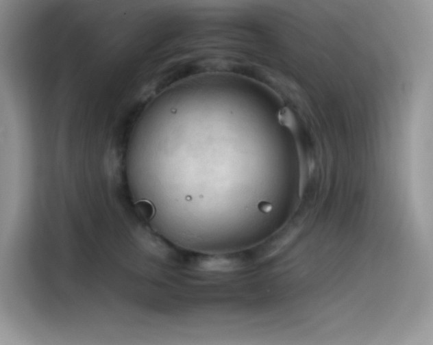 X0000114090759200910051425