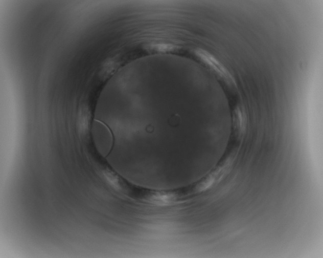X0000114090760200910051425